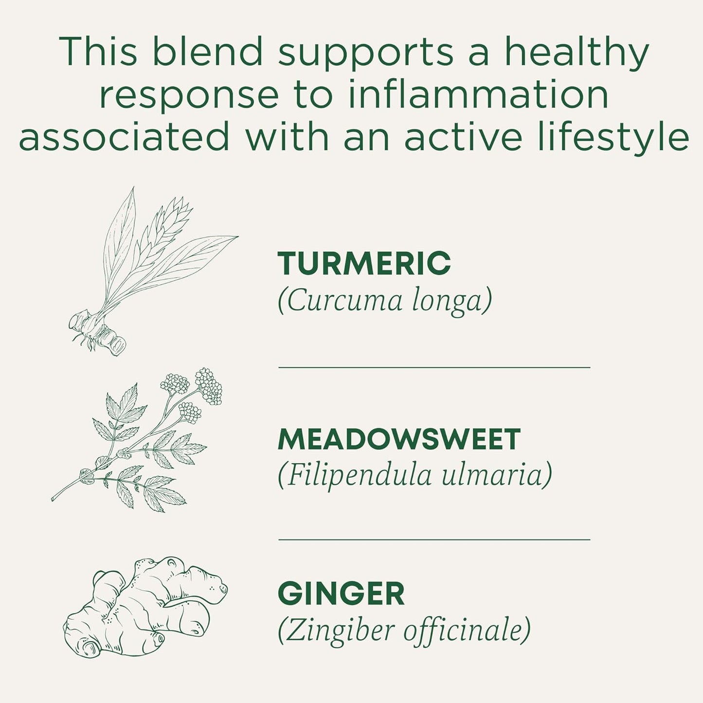 Traditional Medicinals Tea, Organic Turmeric w/Meadowsweet & Ginger, Supports a Healthy Response to Inflammation, 16 Tea Bags