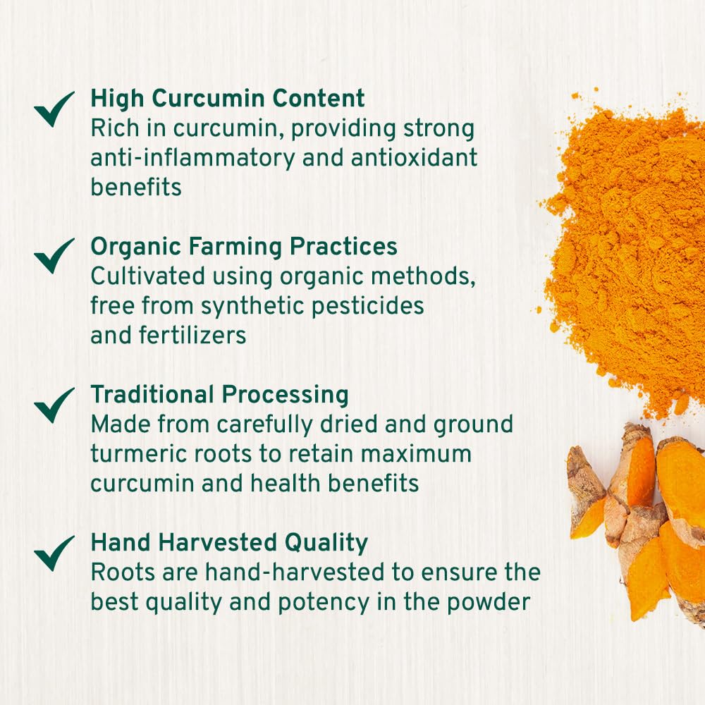 SPICE TRAIN, Organic Turmeric Powder with Curcumin (397g/14oz) Lab Tested for Heavy Metal | USDA Organic, Gluten Free & Vegan | Made from Turmeric Root | Raw Turmeric Powdered Organic from India